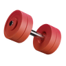 Decorative gym